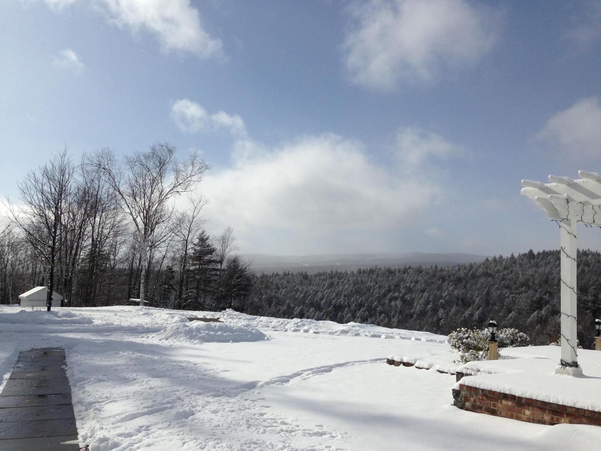 Adams Hill House Retreat - Artist-Architect'S Estate, Newfane Vermont Extérieur photo