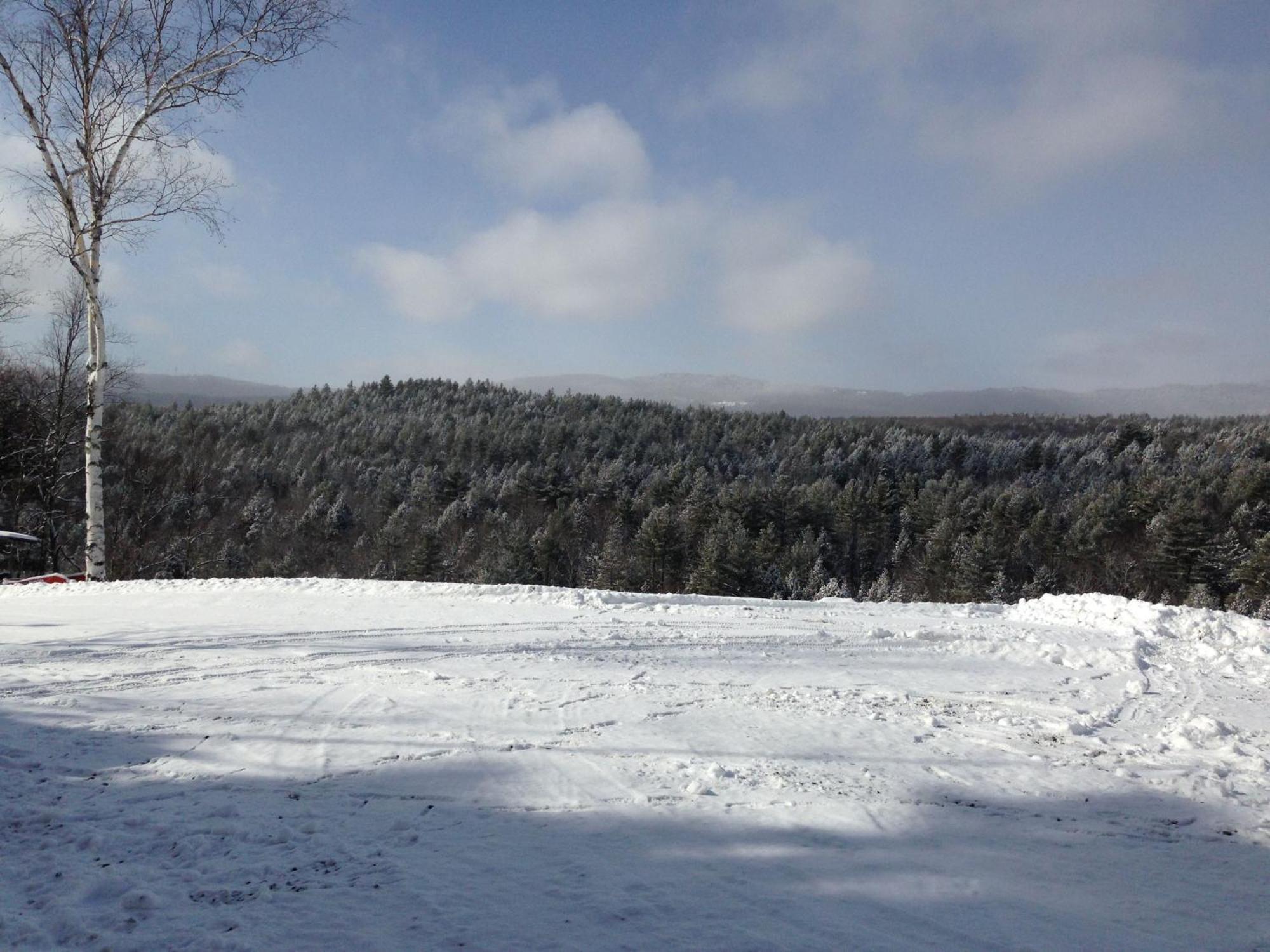 Adams Hill House Retreat - Artist-Architect'S Estate, Newfane Vermont Extérieur photo
